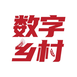 数字乡镇平台官方版