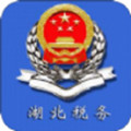 湖北税务app交农村合作医疗保险