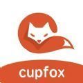 茶杯狐cupfox